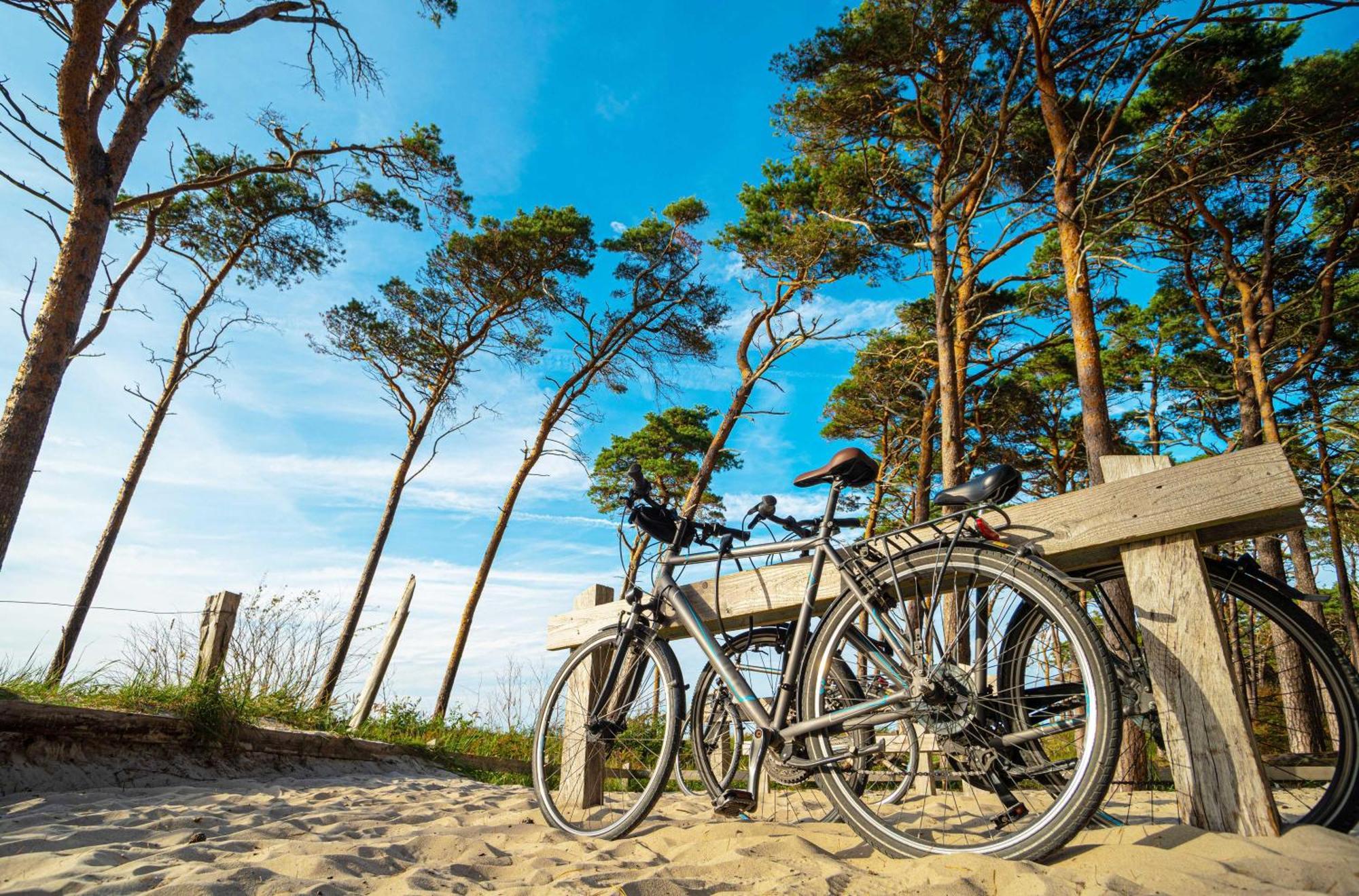 Meeresbrise Im Ostseeheilbad Цингст Экстерьер фото